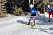 南宫娱乐-瑞典越野滑雪选手登顶领奖台，夺得终极胜利